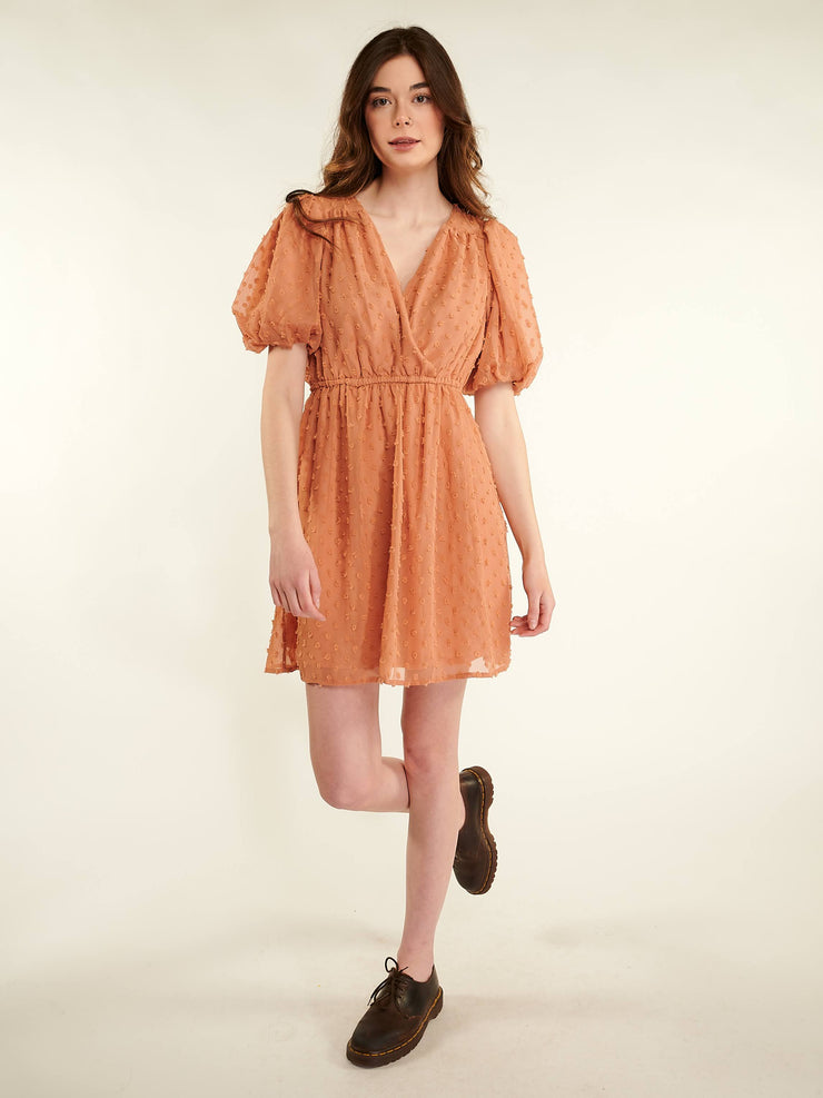 Robson Dress 102